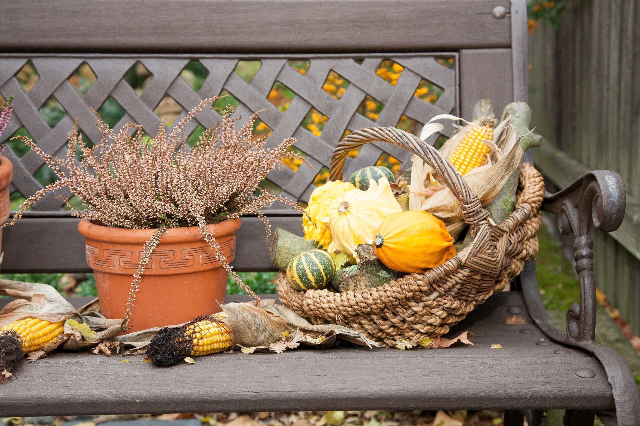 Herbstdekoration im Garten