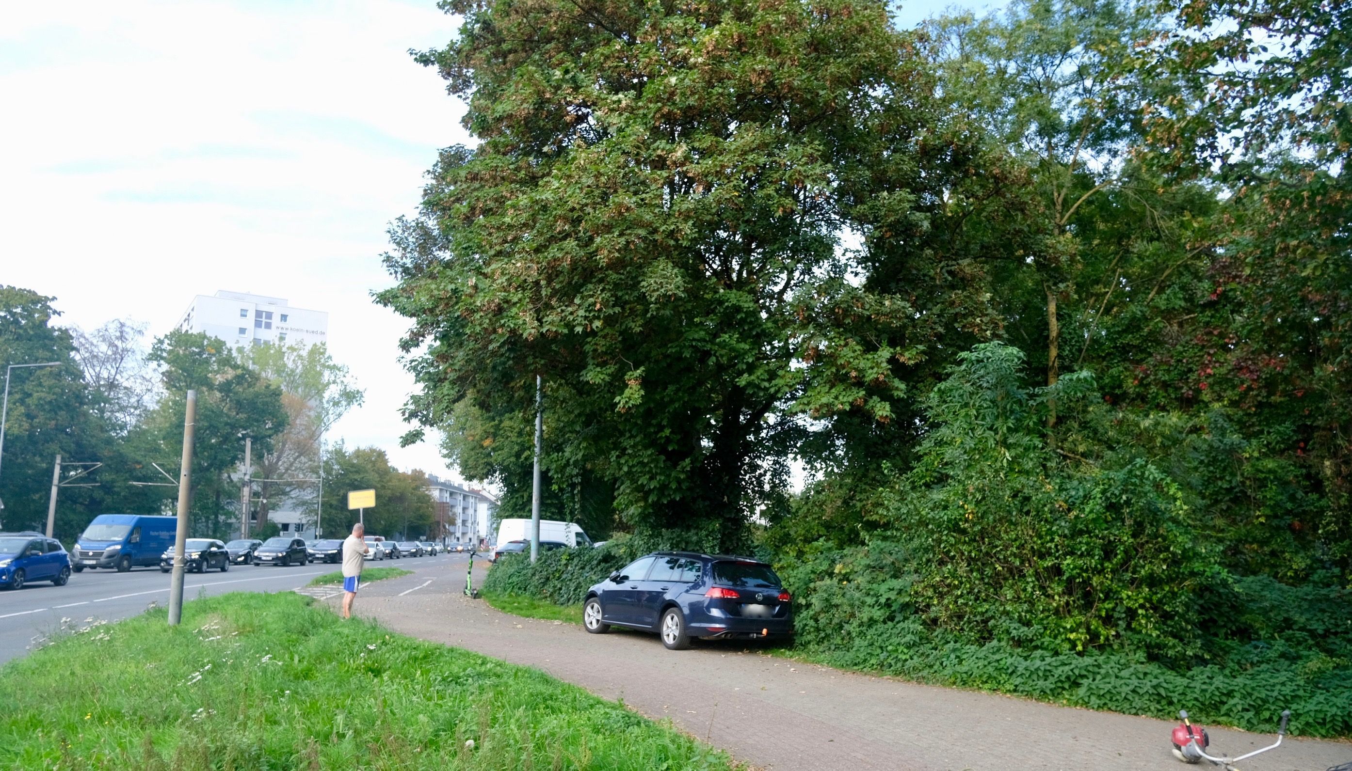 Ein Mann steht am Straßenrand neben einer stark befahrenen Straße mit Autoschlange, daneben ein parkendes Auto, Bäume und eine Hecke sowie ein weißes Hochhaus im Hintergrund.