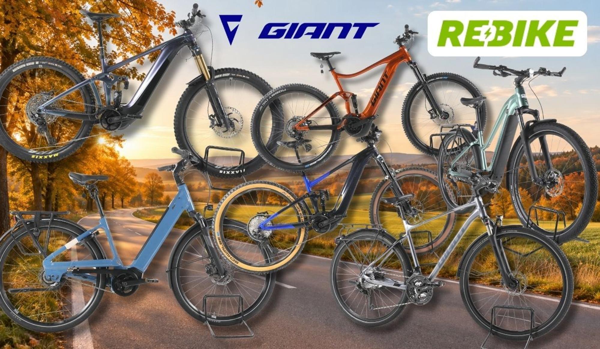 Giant E-Bikes verschiedener Kategorien – darunter vollgefederte E-Mountainbikes, ein City-E-Bike mit tiefem Einstieg sowie Trekking- und SUV-E-Bikes – vor einer Landstraßen-Kulisse mit herbstlichen Wäldern und Feldern. Logos von Rebike und Giant am oberen Bildrand.