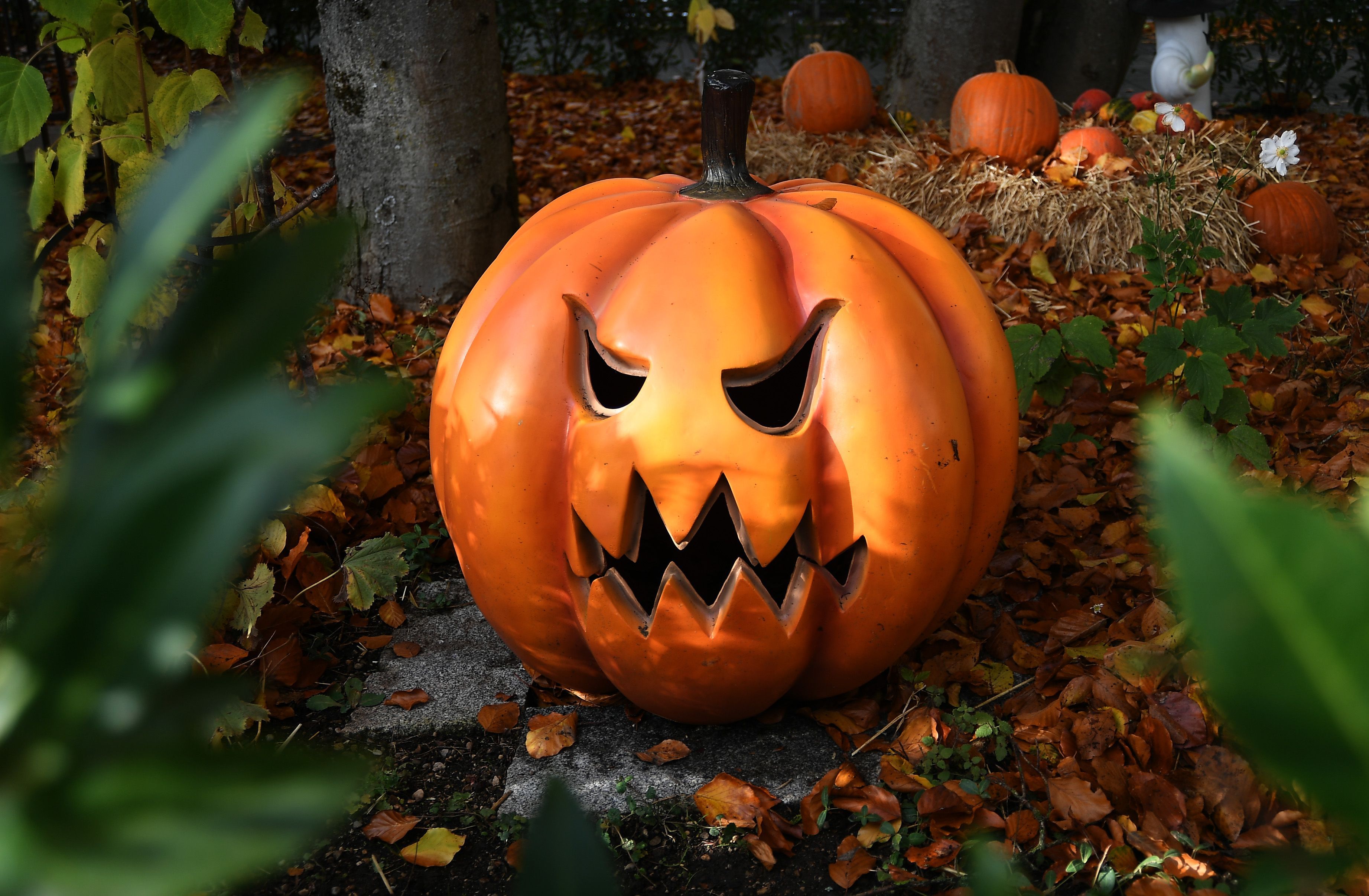 Ein Halloween-Kürbis. (Symbolbild)