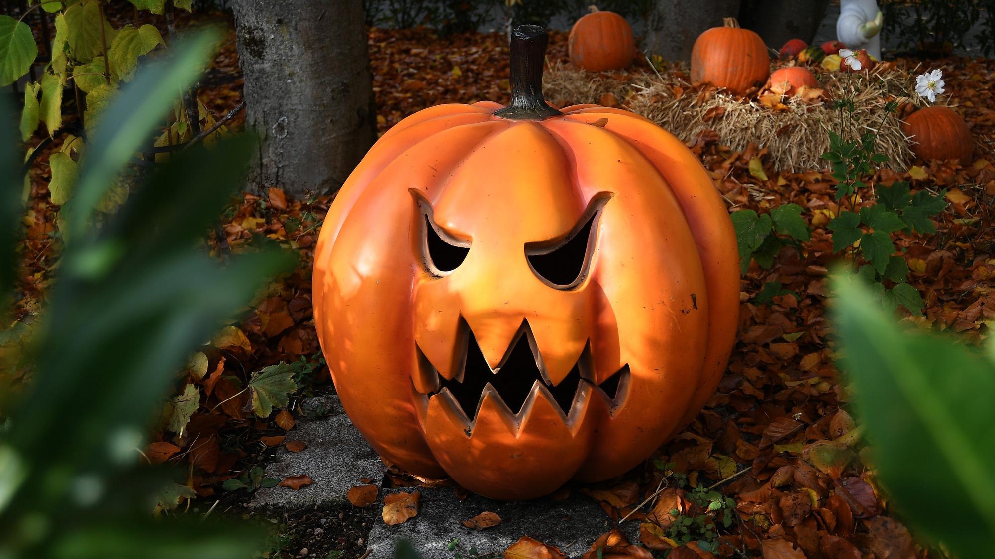 Ein Halloween-Kürbis. (Symbolbild)