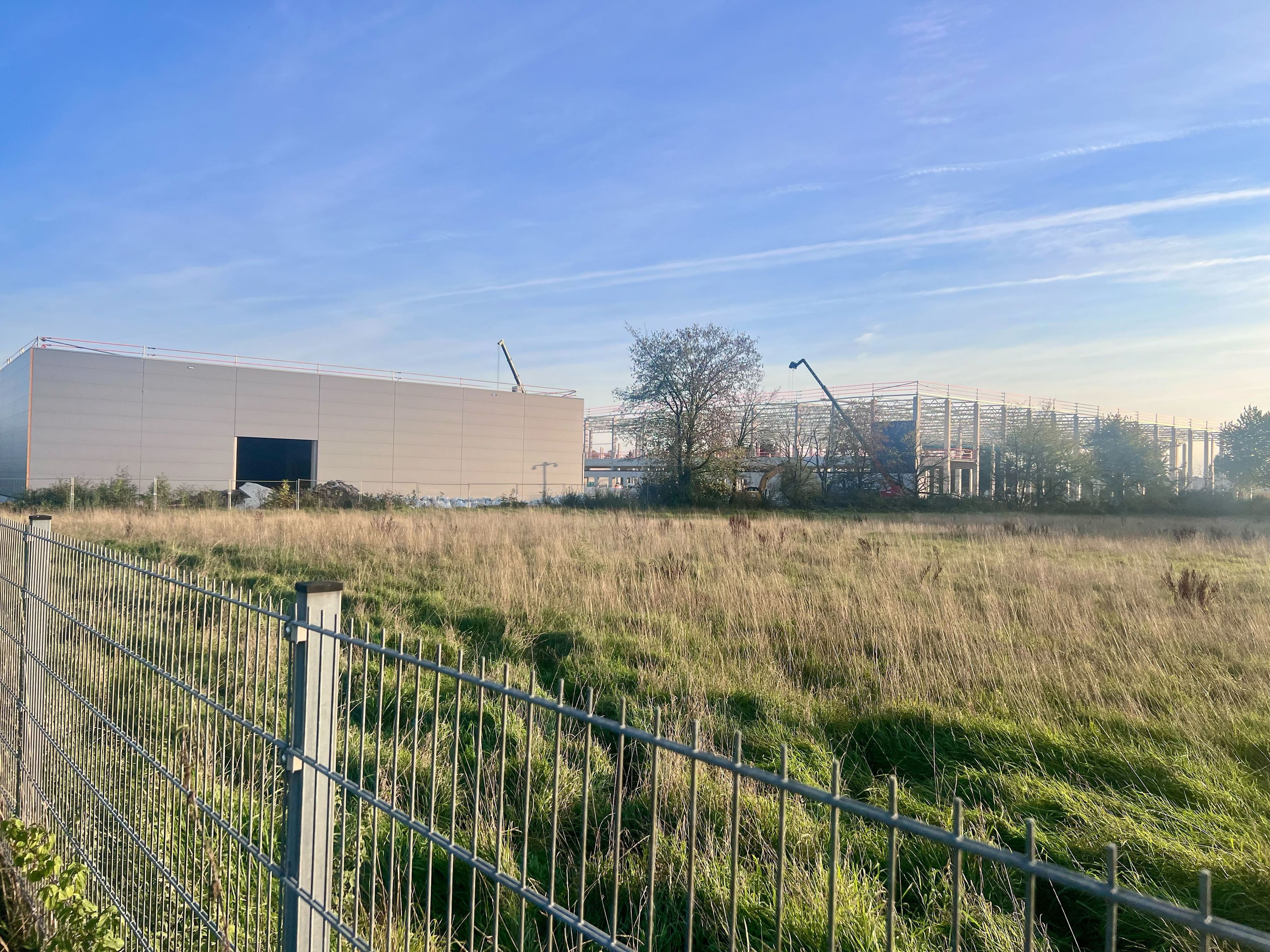 Hinter einem Metallzaun und einer hohen Wiese stehen links eine fertige Industriehalle mit heller Fassade und rechts eine im Bau befindliche Halle aus Stahlgerüst mit Baukränen unter blauem Himmel.