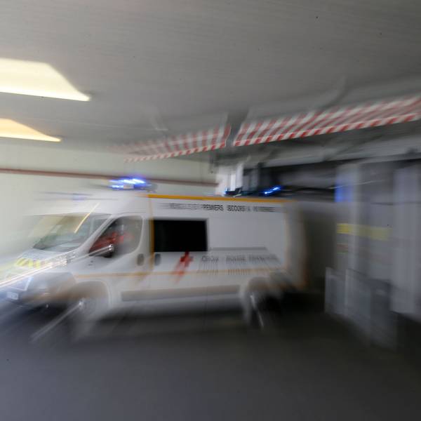Frankreich meldet ersten Shamonda-Virus-Fall beim Menschen
