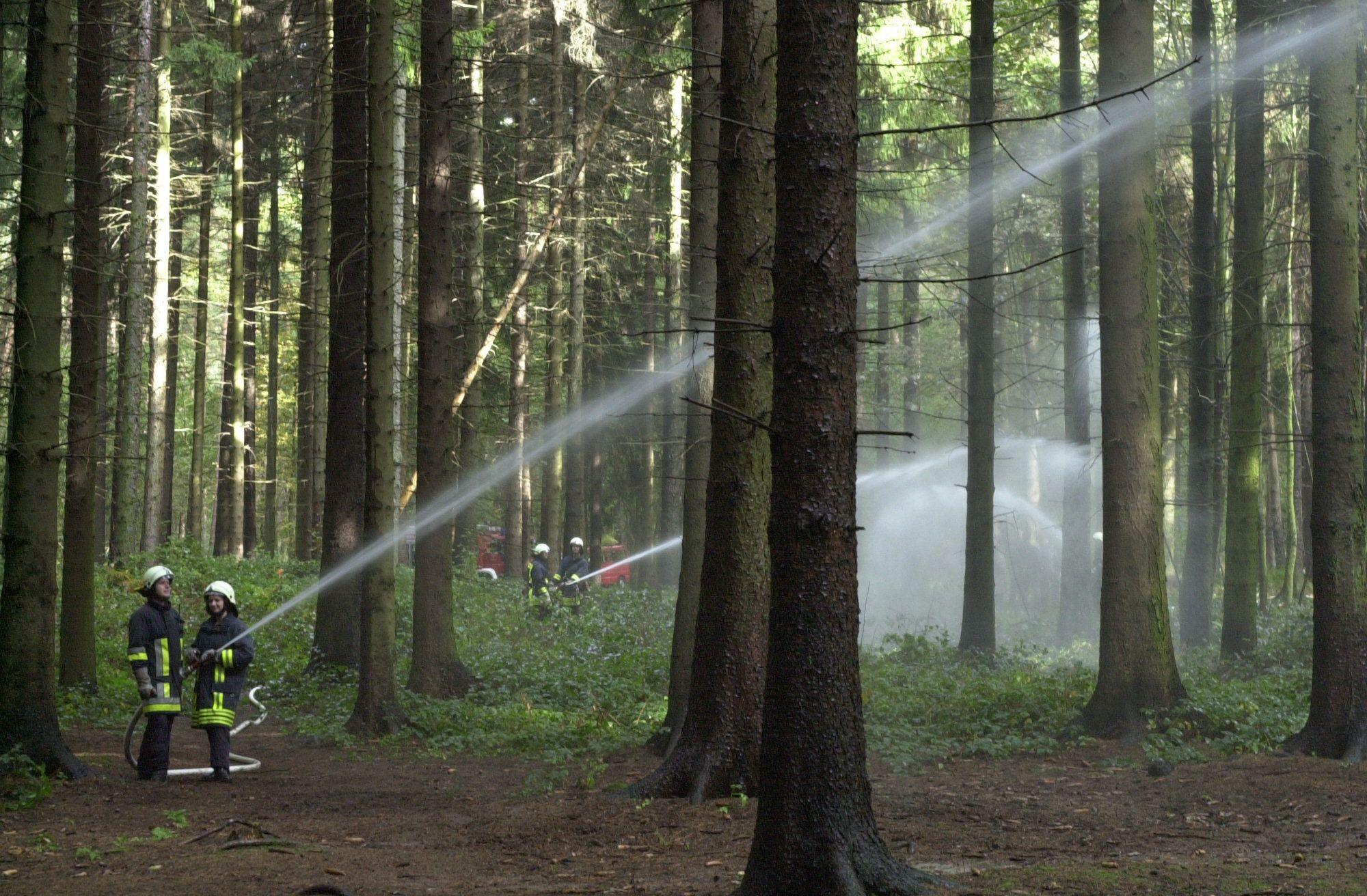 Waldbrandübung 2004 im Bürgerbusch in Alkenrath. Bild: Ralf Krieger