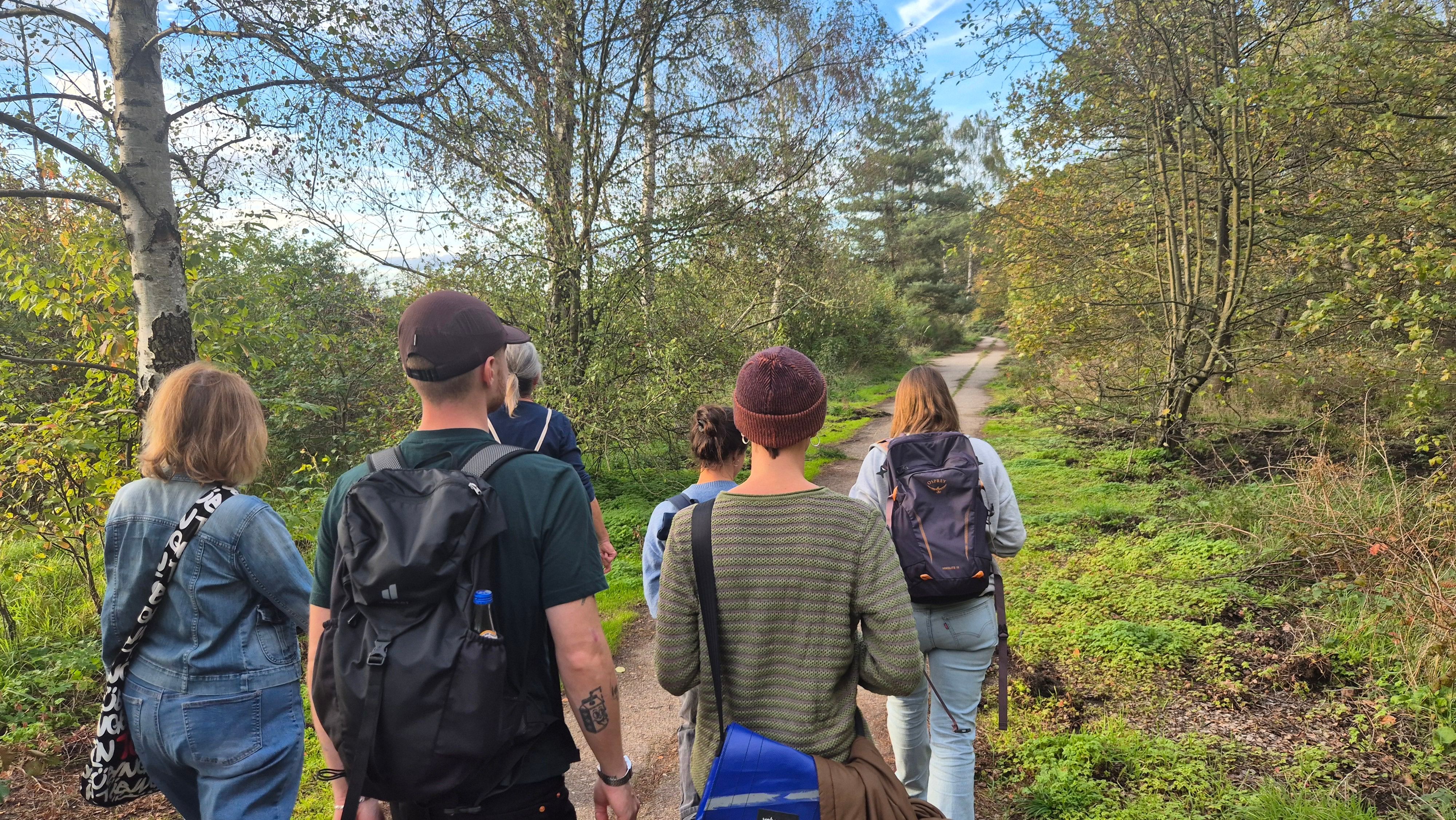 Sechs Menschen sind auf einem Wanderweg in einer Heidelandschaft unterwegs.