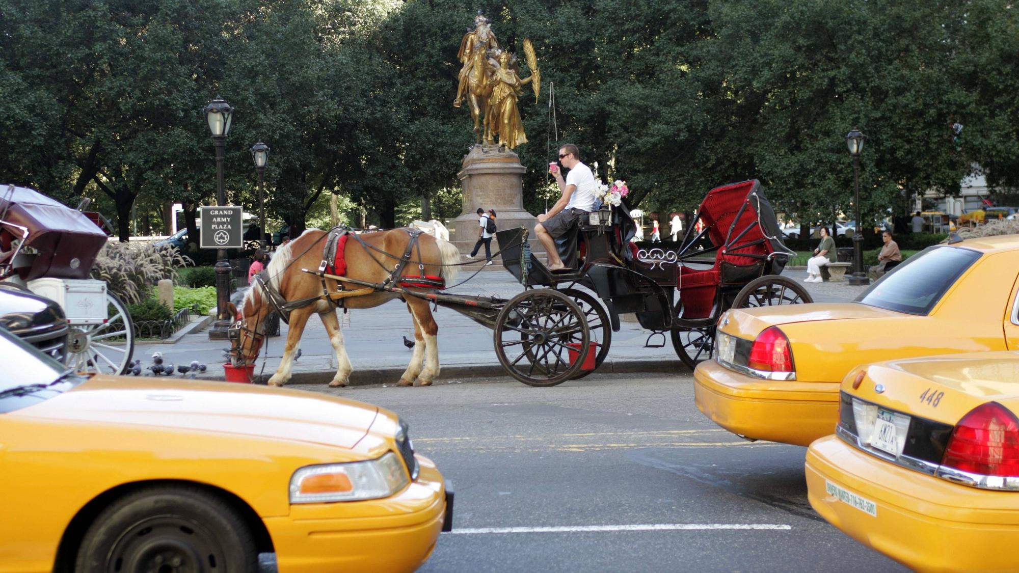 Rund um den Central Park werden wohl bald die Kutschen verschwinden.
