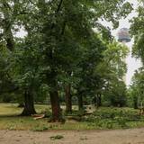 24.07.2023
Köln:
Die Windböen eines kräftigen Gewitters am Mittag haben im Kölner Stadtgarten zahlreiche Äste abgebrochen. Die Schäden in dem Park sind umfassend.
Foto: Martina Goyert