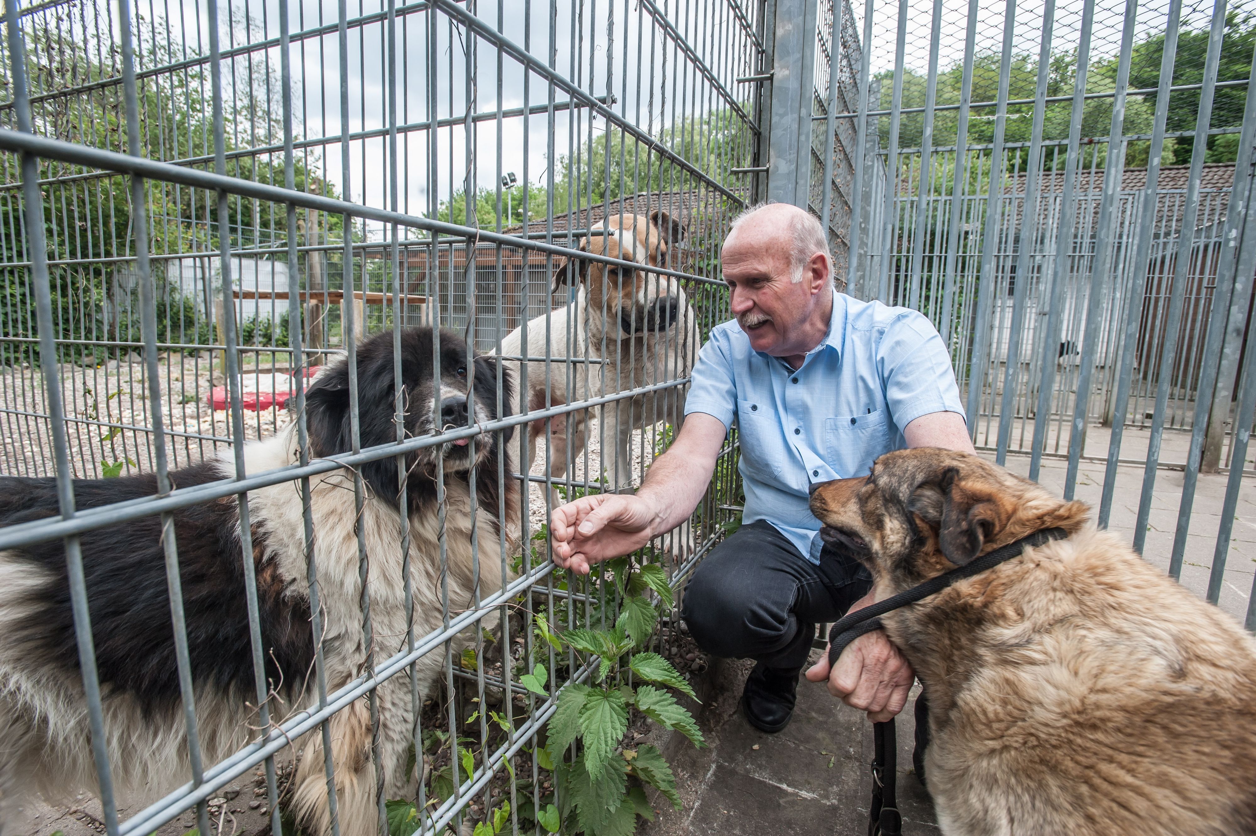 Gerd Kortschlag und Hunde auf einem Bild von 2020 im Leverkusener Tierheim.