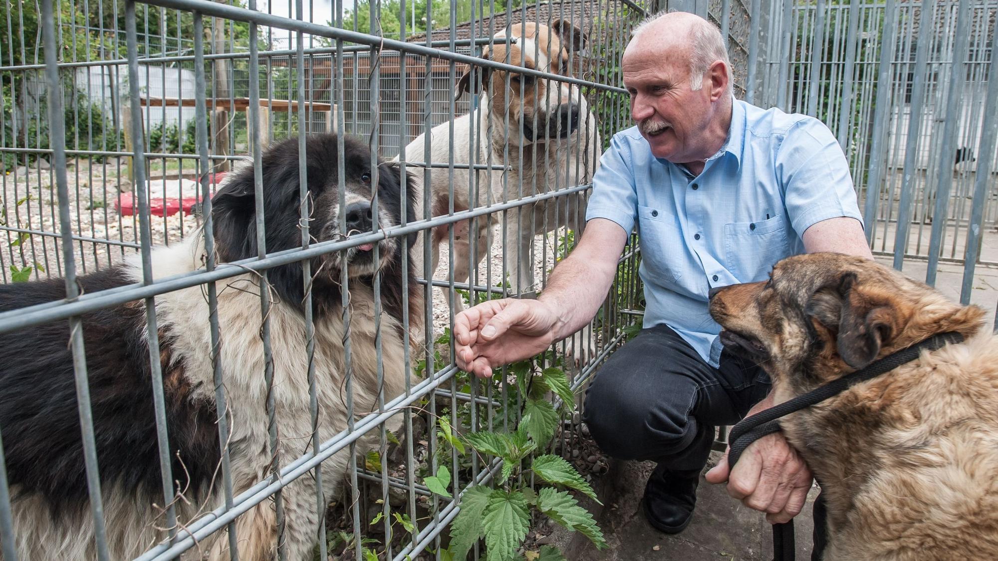 Gerd Kortschlag und Hunde auf einem Bild von 2020 im Leverkusener Tierheim.