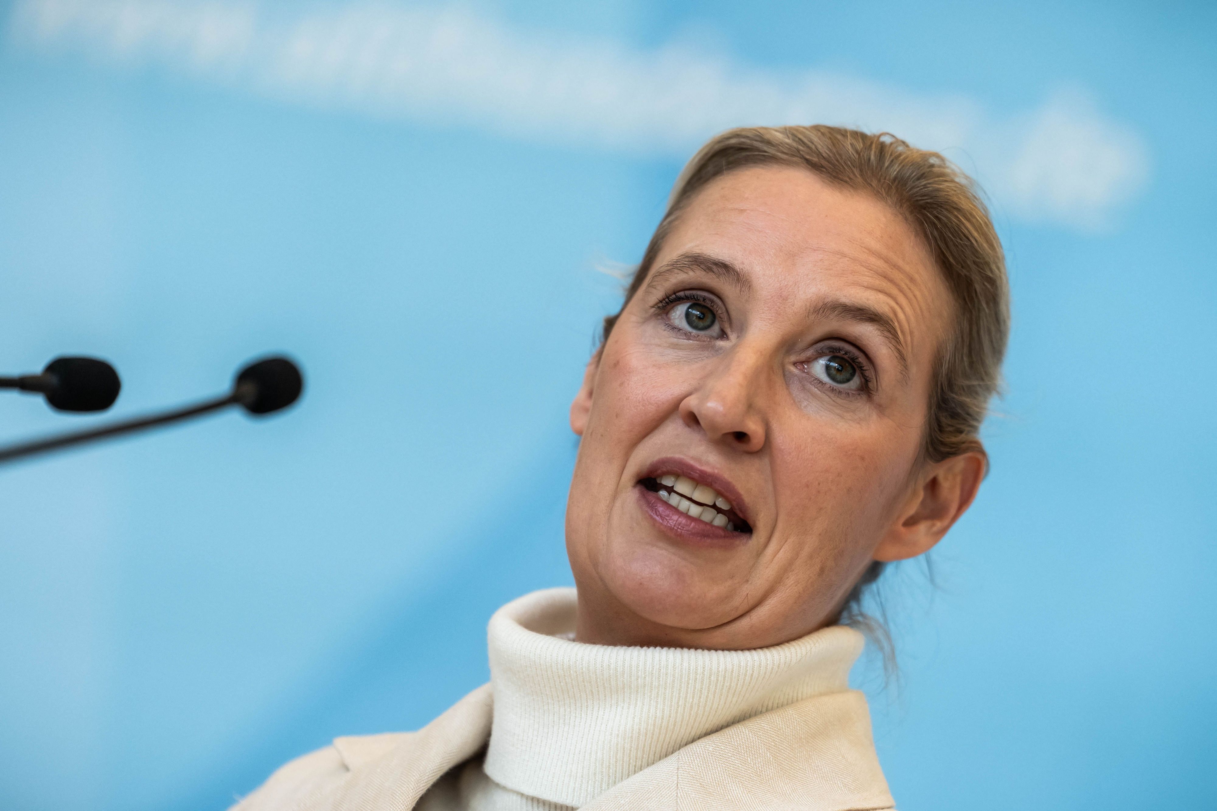 AfD-Chefin Alice Weidel. Mehrere Medien berichteten über interne Kommunikation zu einer Parteispende. (Archivbild)