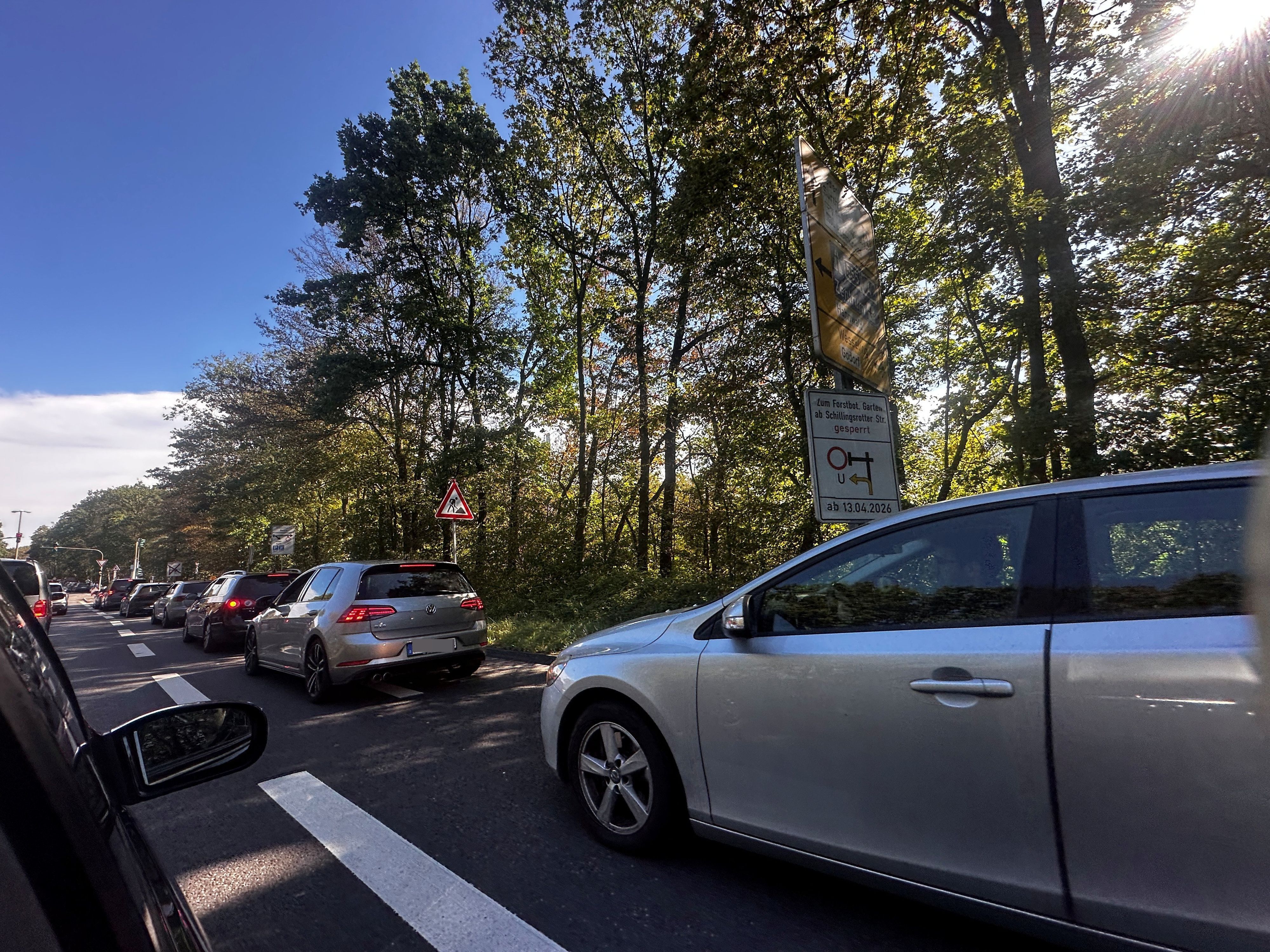 Eine Autoschlange staut sich auf einer Straße unter Bäumen.