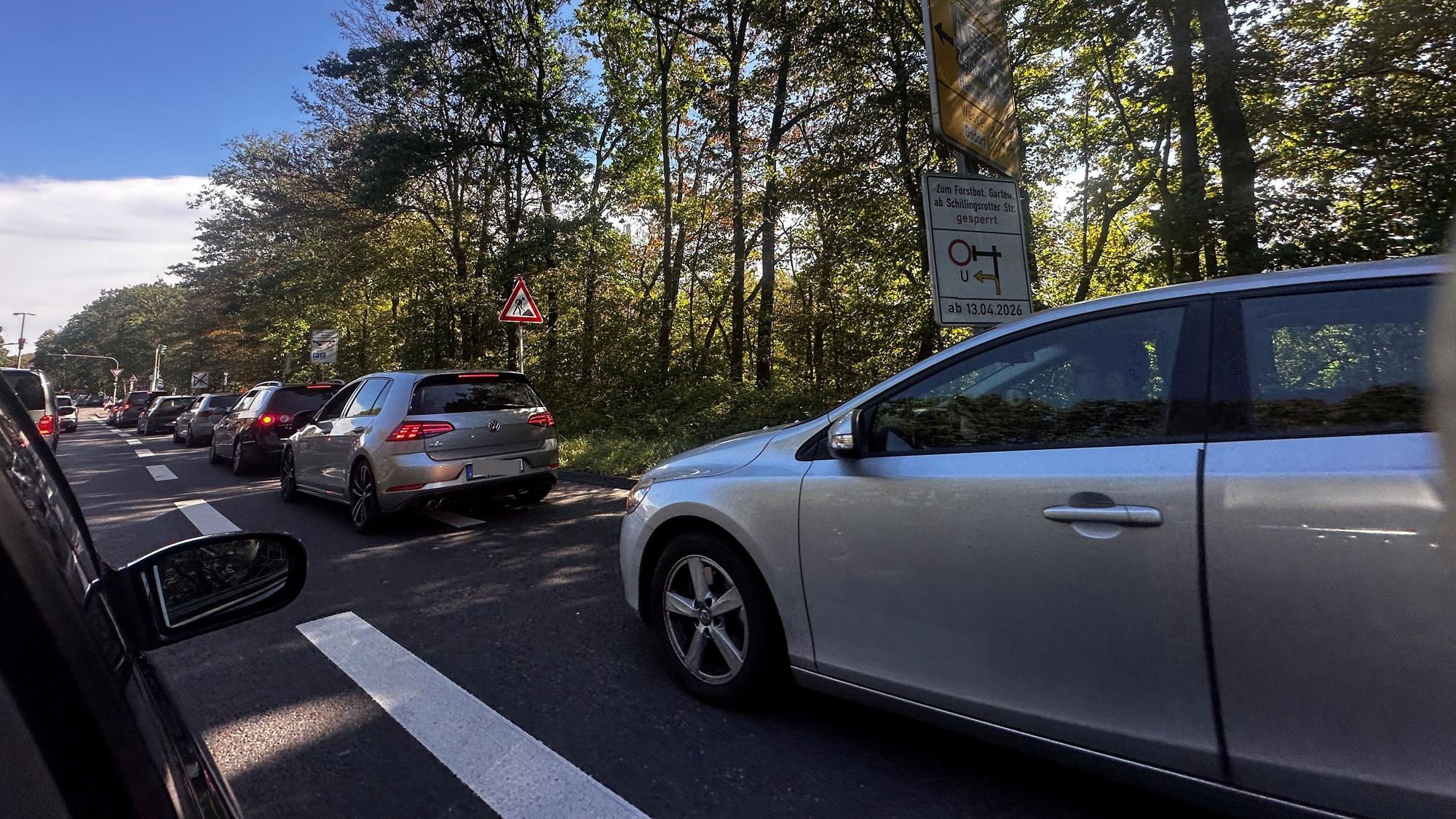 Eine Autoschlange staut sich auf einer Straße unter Bäumen.
