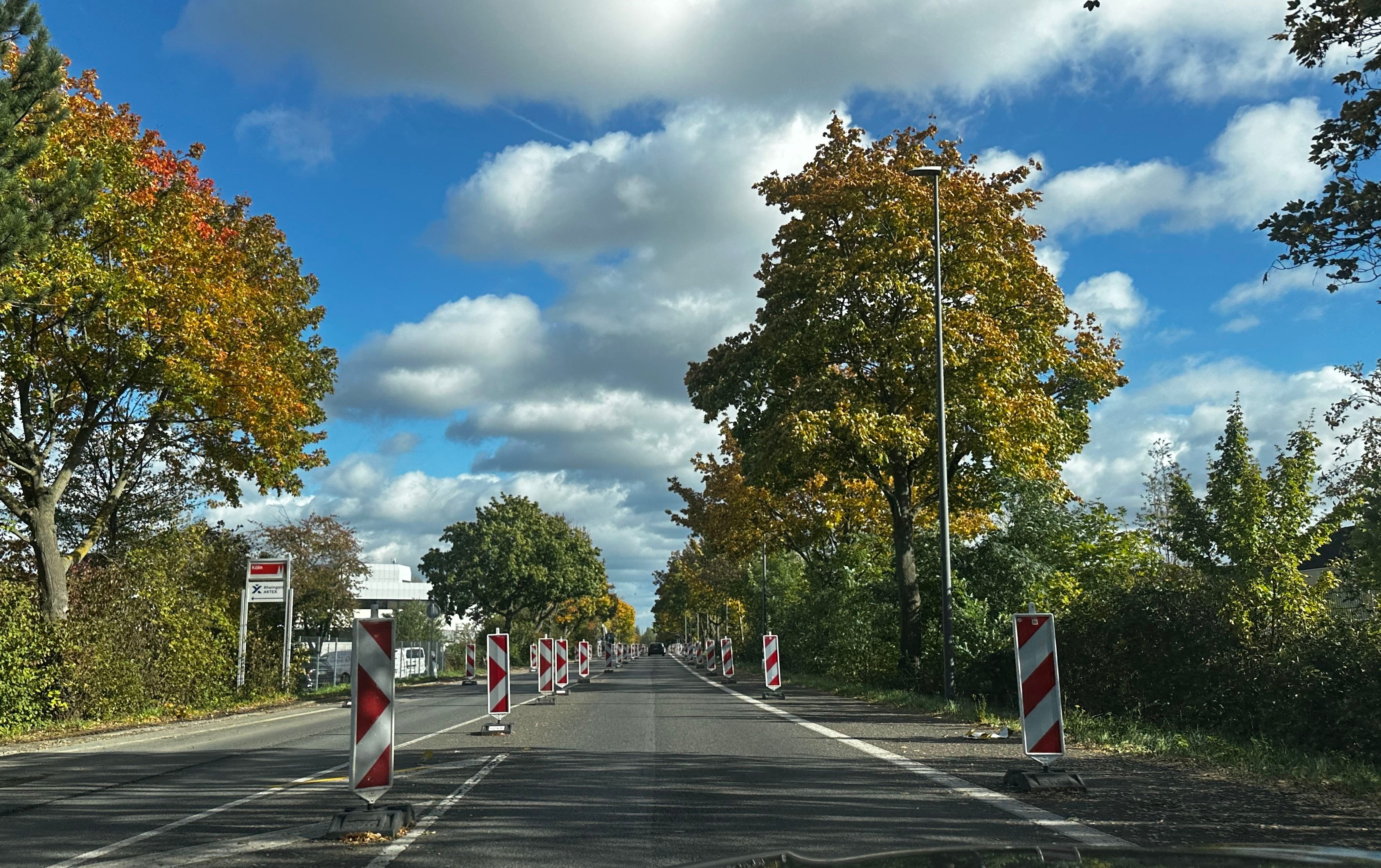 Eine herbstliche Allee, auf deren Fahrbahn rot-weiße Absperrbaken als Verengung oder Baustellenmarkierung stehen, unter blauem Himmel mit Wolken.