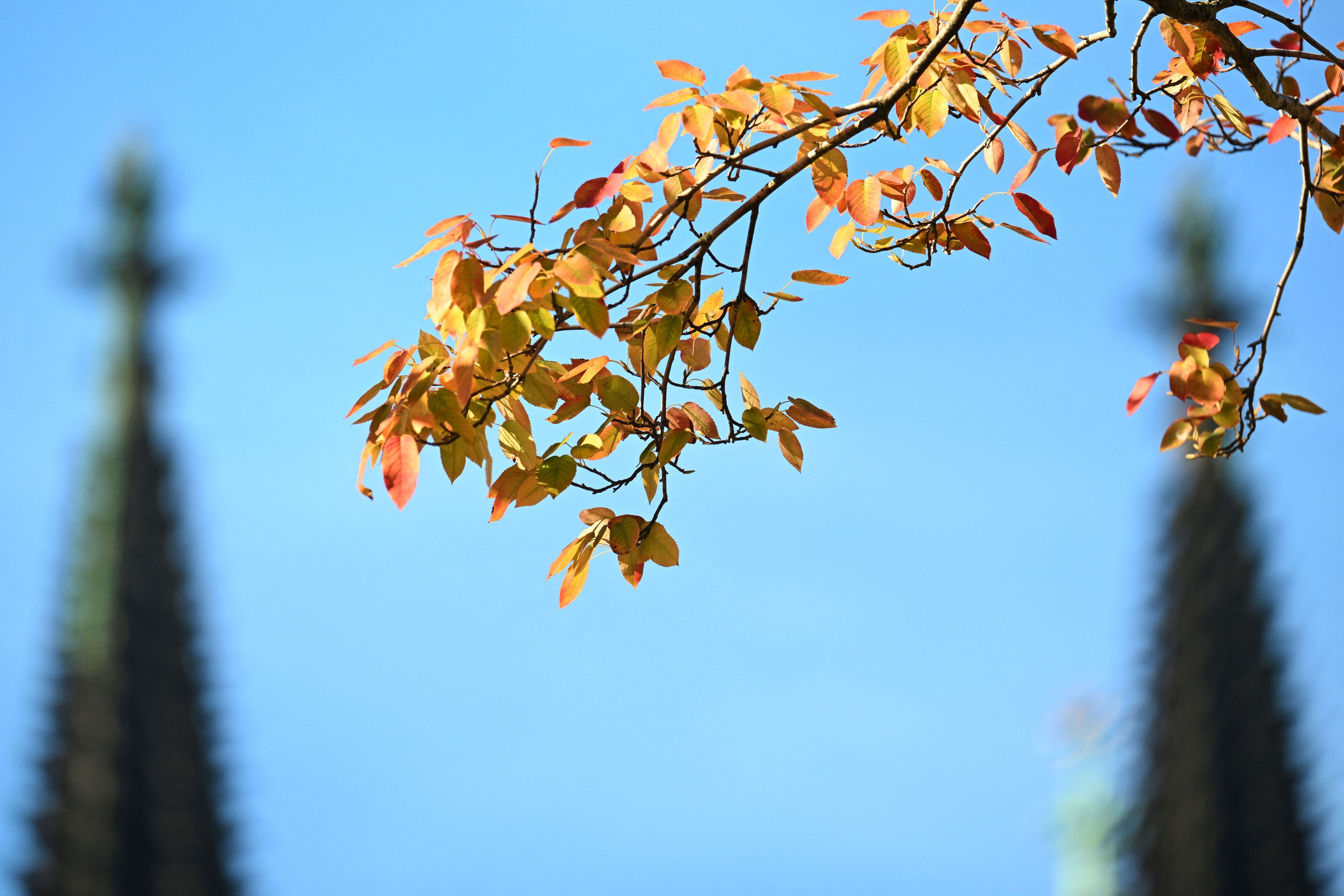 In Köln wird es am Dienstag noch einmal warm und herbstlich-freundlich.