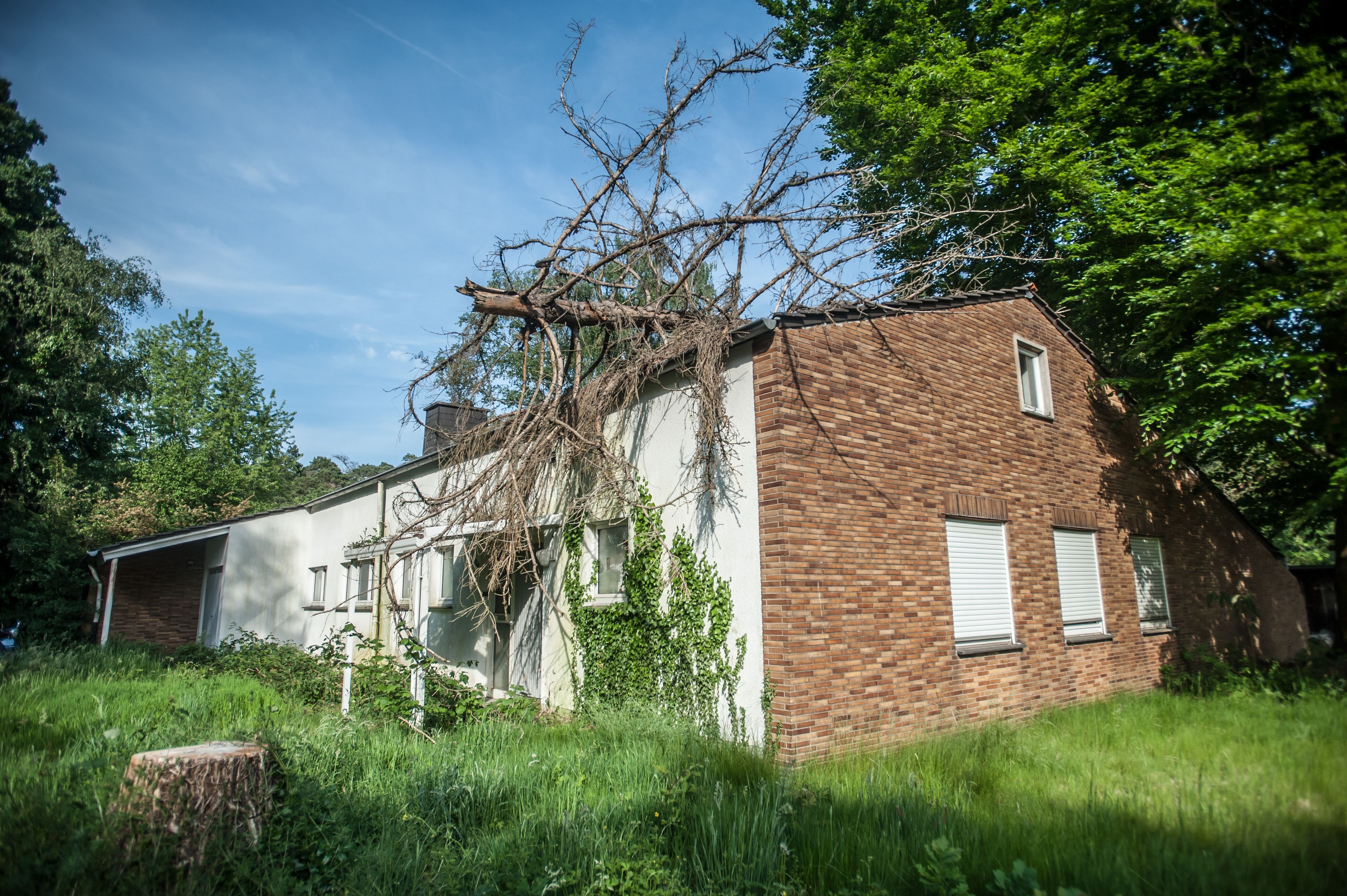 Längere Zeit lag ein Baum auf dem Dach.