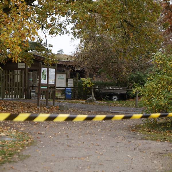 28.10.2026, Brandenburg, Baruth: Ein Flatterband sperrt einen Bereich des Wildparks Johannismühle. Ein Kind ist bei der Attacke eines oder mehrerer Tiere im brandenburgischen Wildpark Johannismühle schwer verletzt worden. Foto: Carsten Koall/dpa +++ dpa-Bildfunk +++