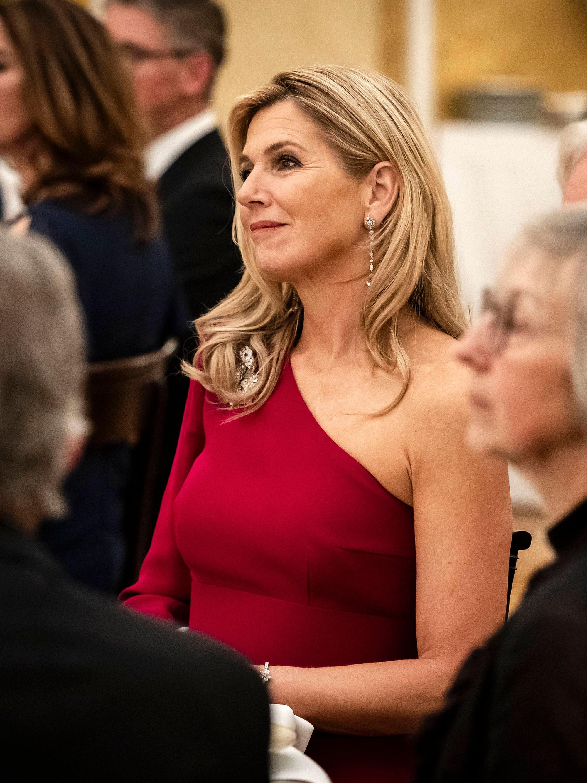 Königin Máxima erschien in einem beerenroten Abendkleid des niederländischen Designers Claes Iversen.
