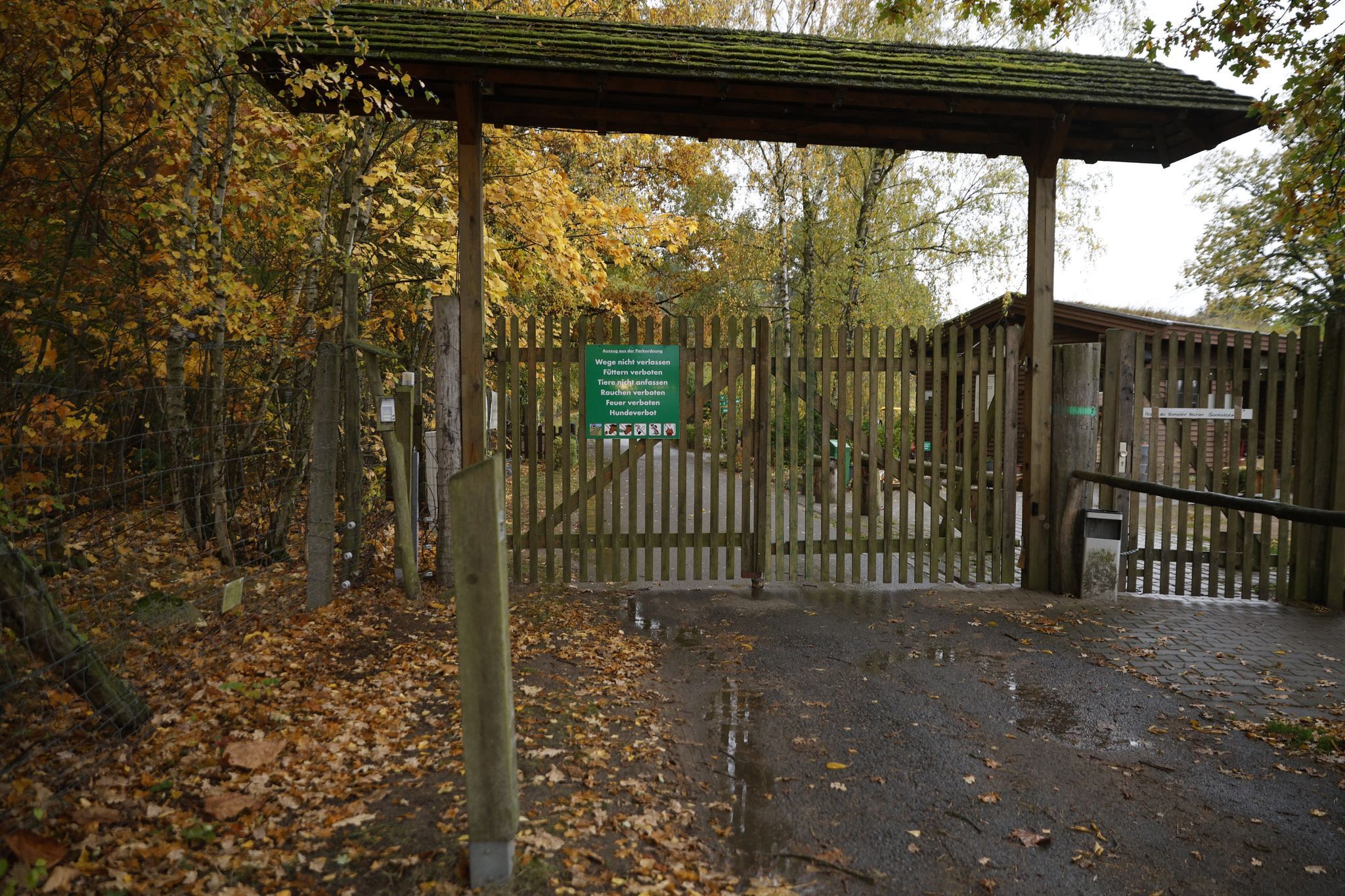 Wolf greift Kind in Wildpark an