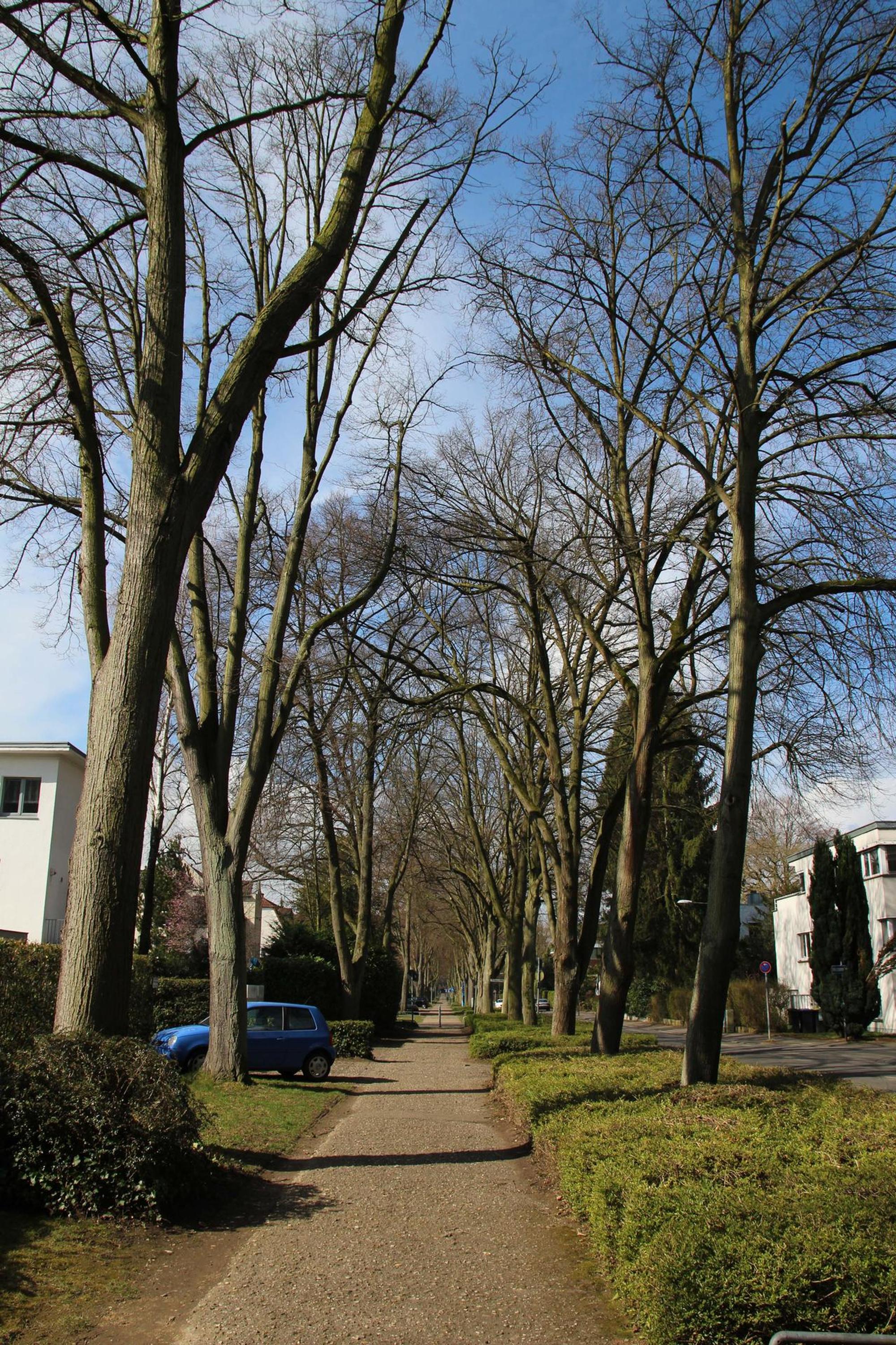 Junkersdorf_Markert