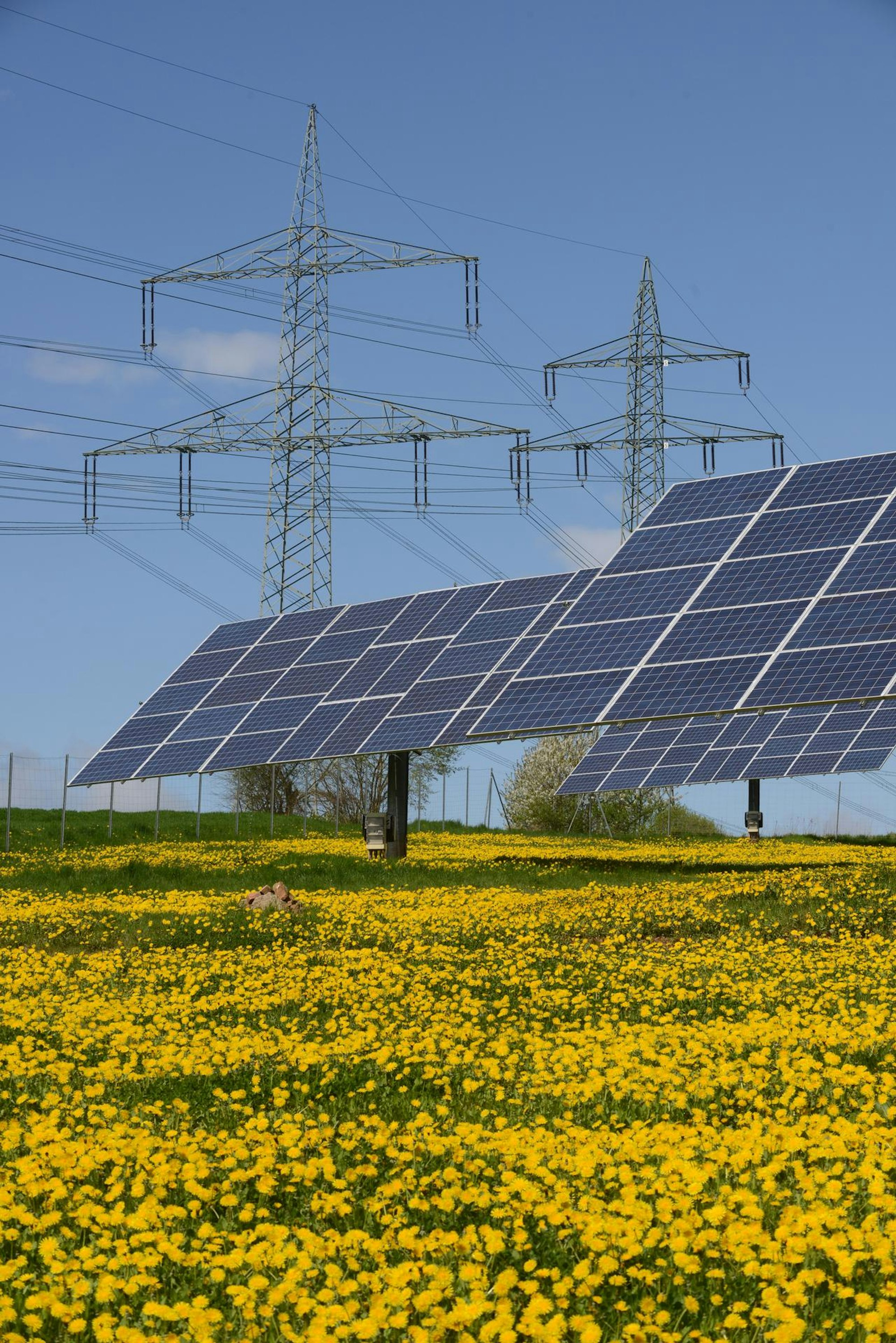 photovoltaik_dpa_symbolbild