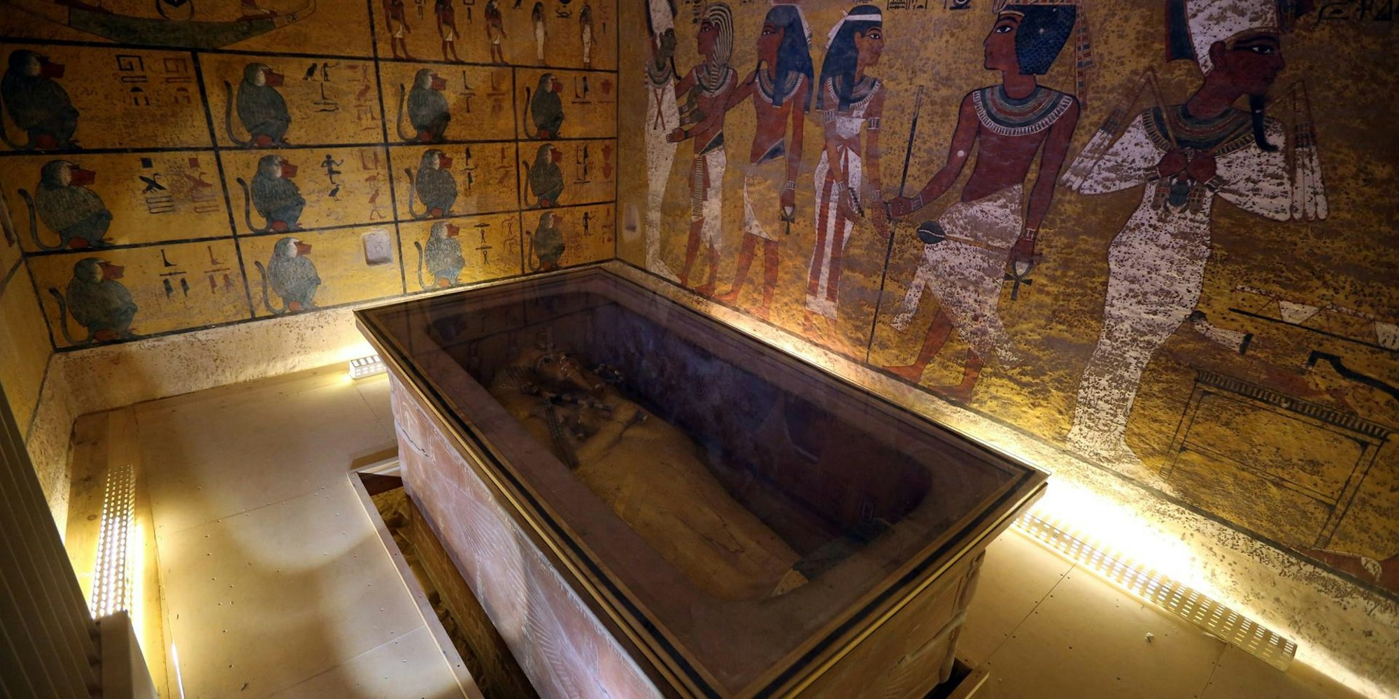 Kairo mumifizierte Löwenbabys 231119