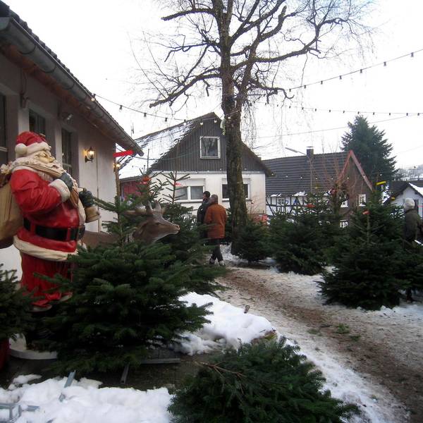 Weihnachtsbaum5