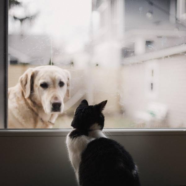 alexis-chloe-dD75iU5UAU4-unsplash