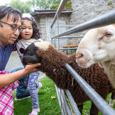 Bergischer-Landschaftstag_4