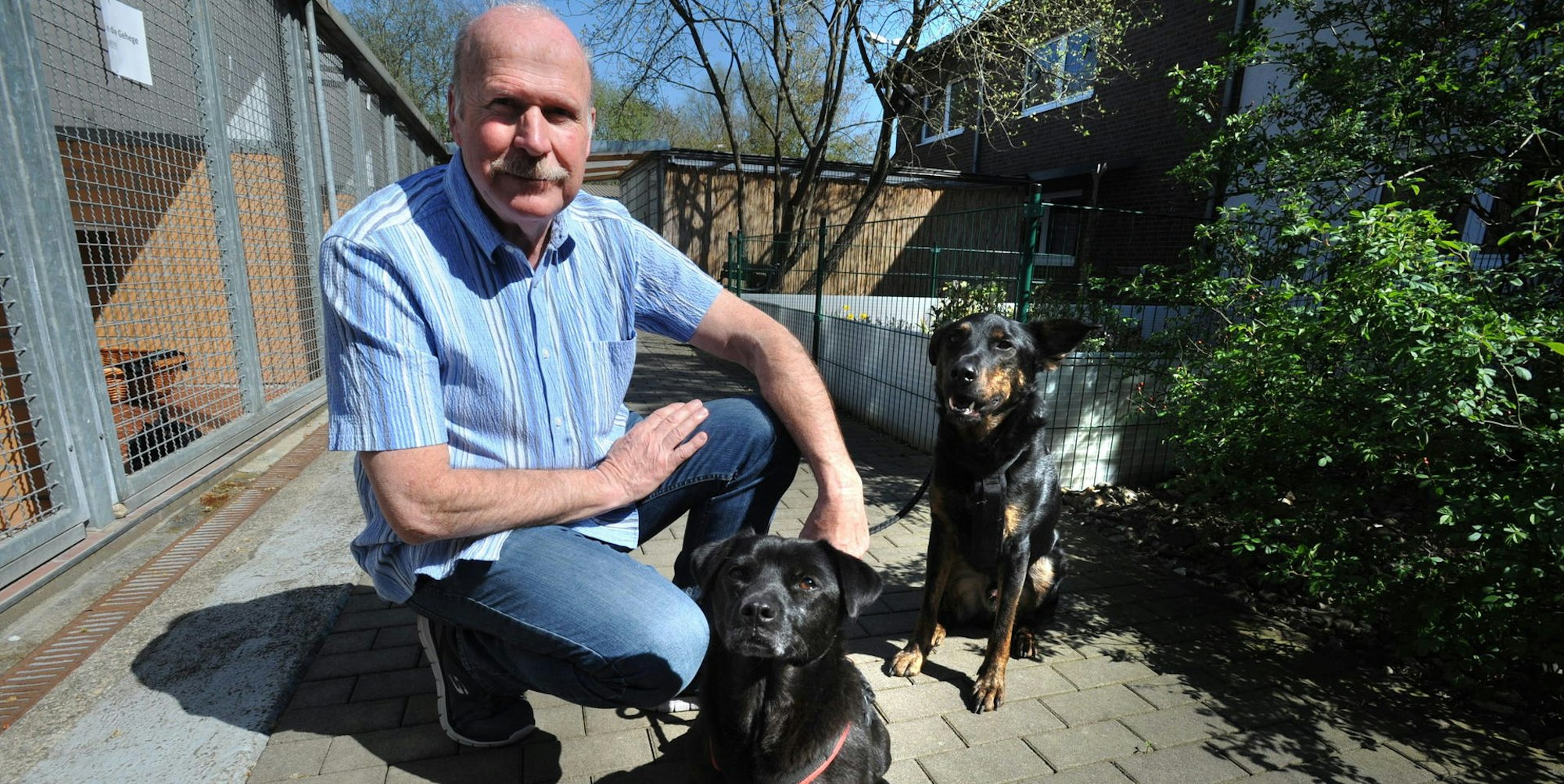 le-tierheim-tauben_(5)