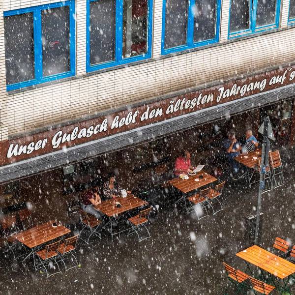 Neuer Inhalt (3)