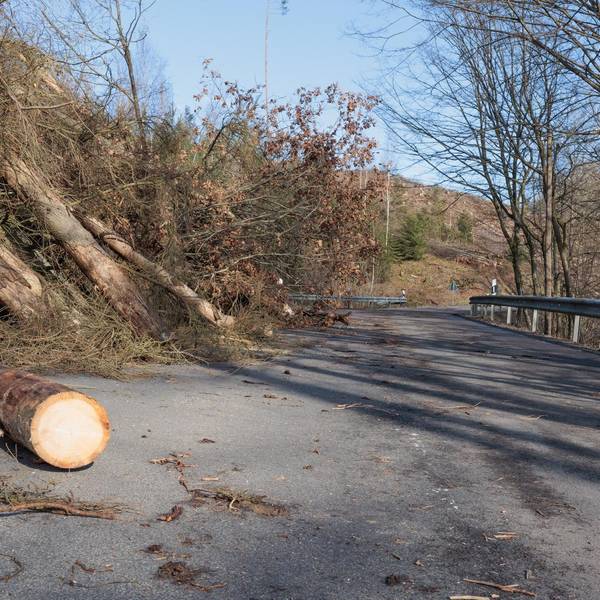 Neuer Inhalt