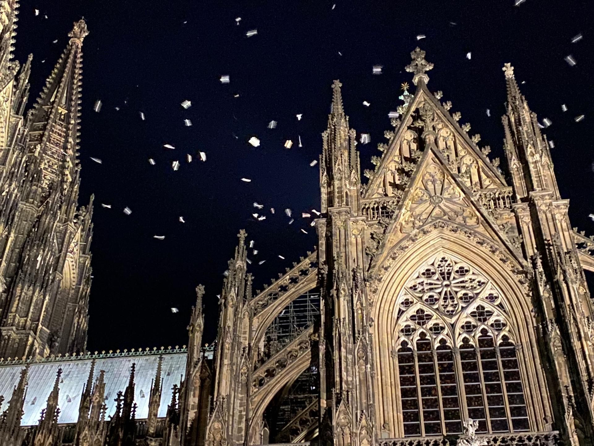 Foto Möwen am Dom