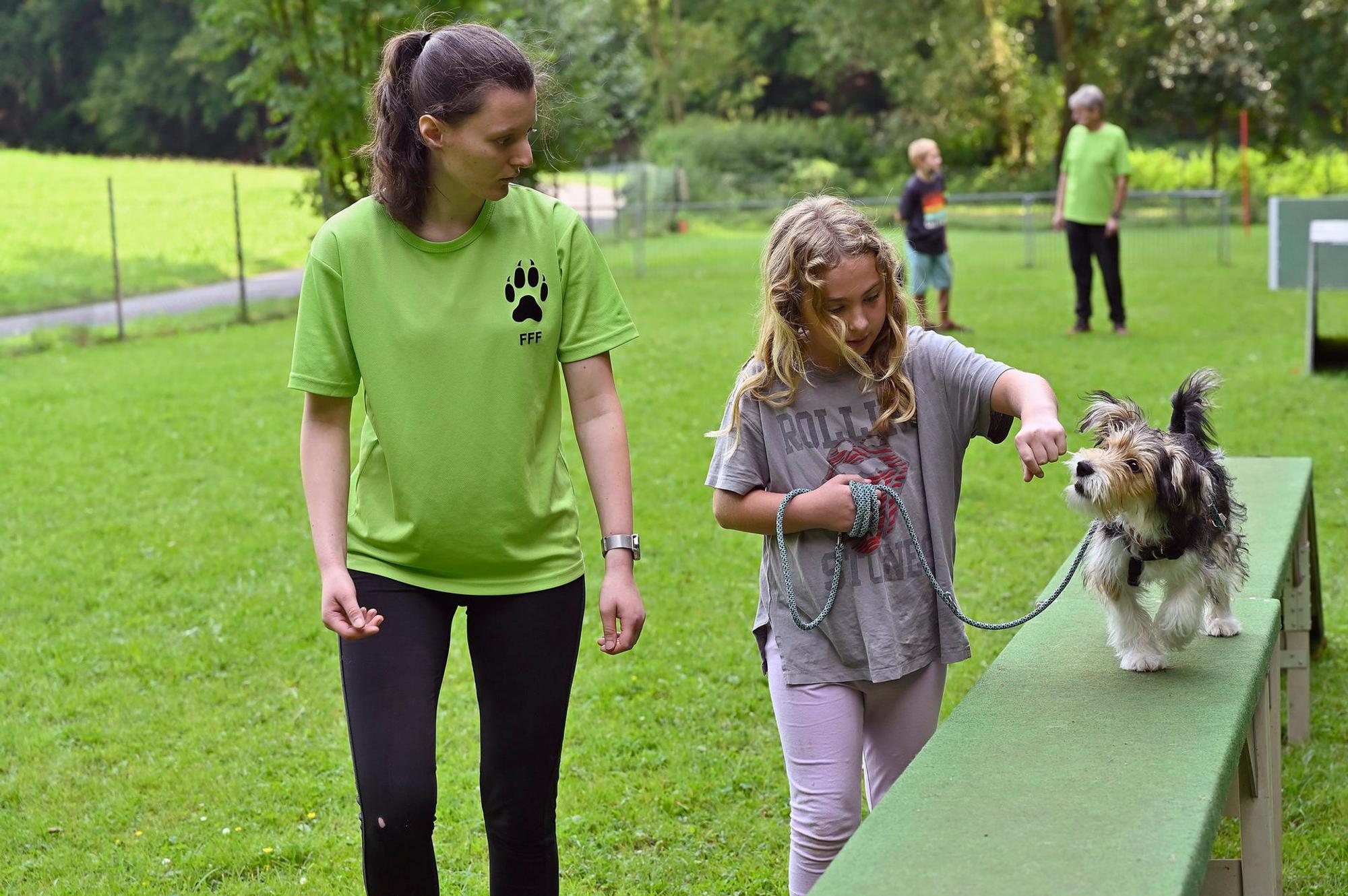 Hundetraining 1 230821