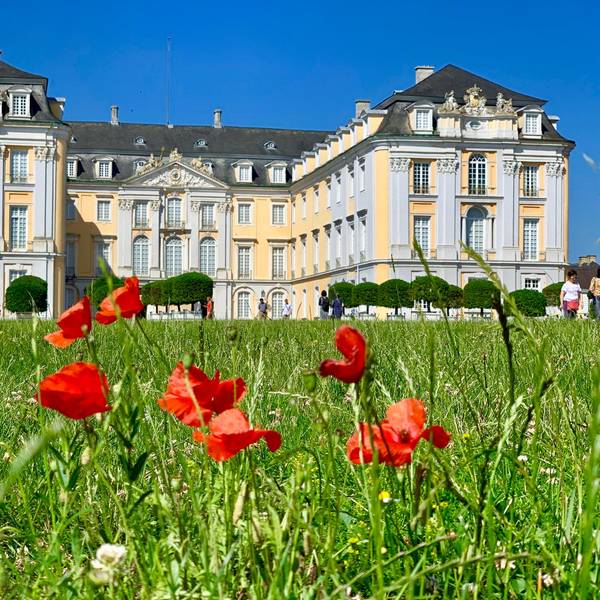 Schloss_Augustusburg