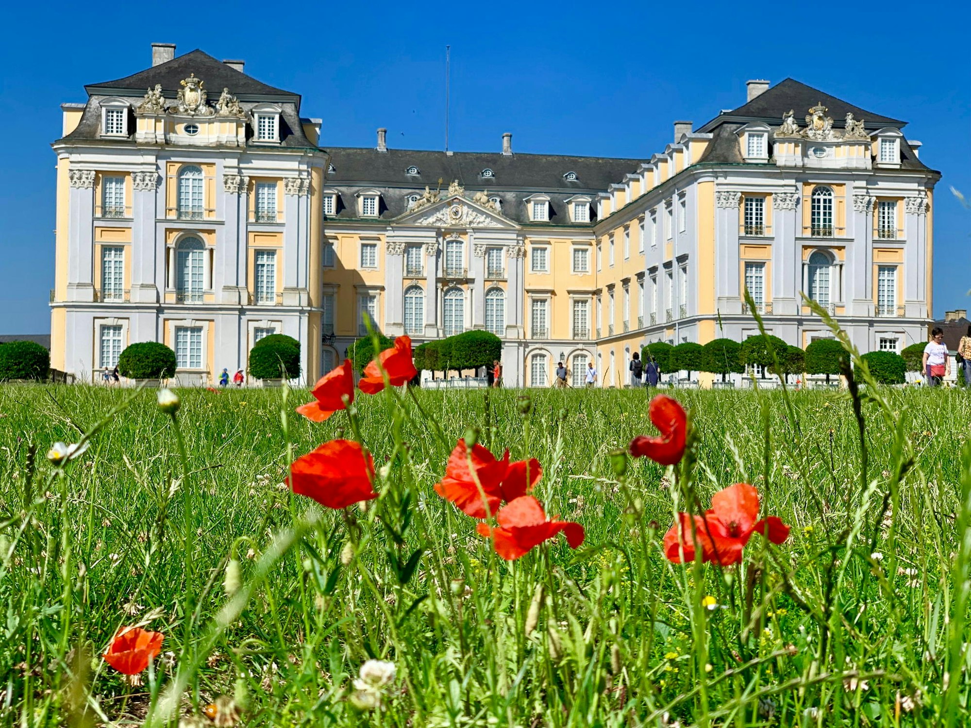 Schloss_Augustusburg