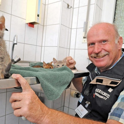 digas-159101316_MDS-KSTA-2018-08-27-71-136873881 (1)