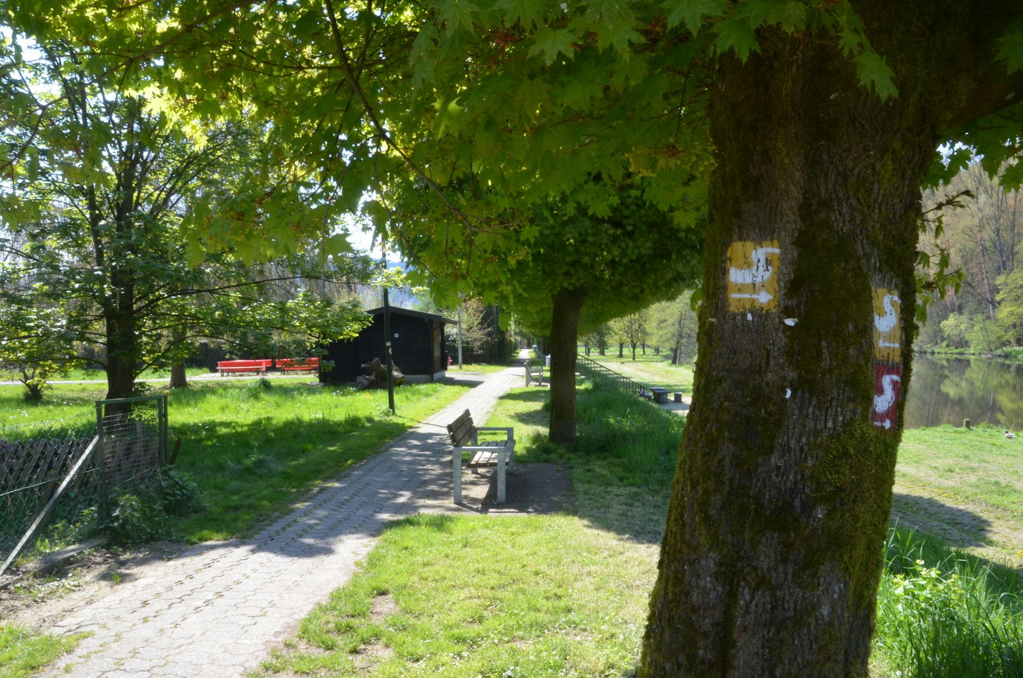 Umgestaltung_Siegpromenade_Windeck2