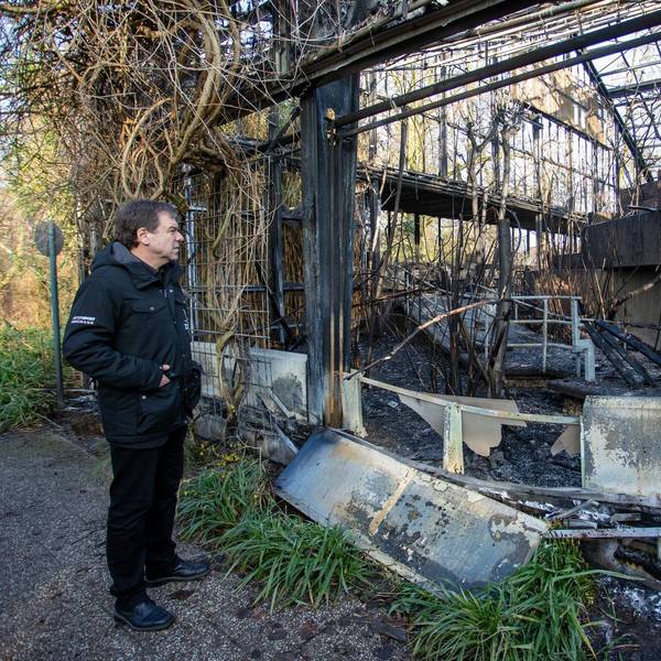 Krefeld Zoo Ruine