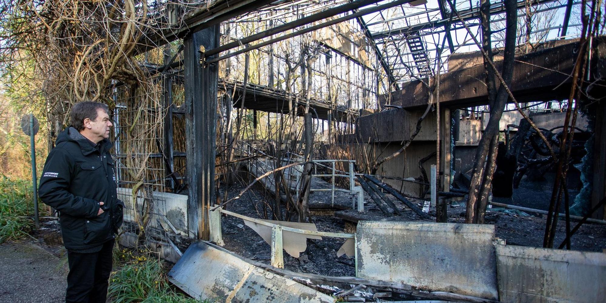 Krefeld Zoo Ruine