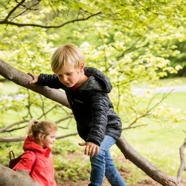 wald_003