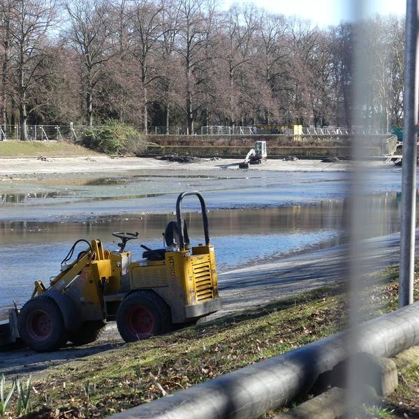 Neuer Inhalt
