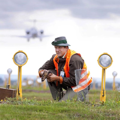 Außergewöhnliche Berufe Bird Controller