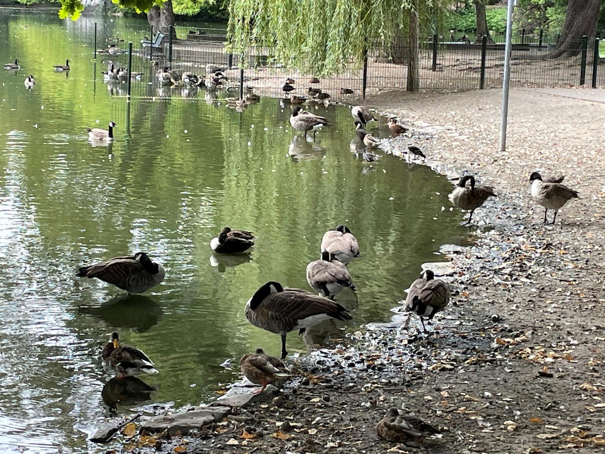 Neuer Inhalt (3)