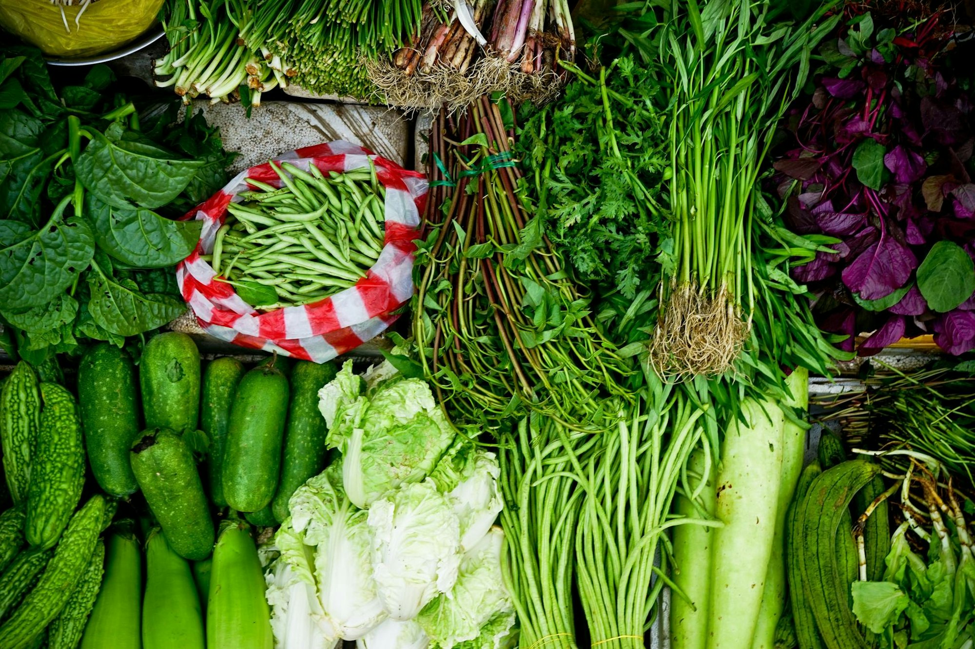 vietnam symbol lou-liebau-wR-_faBOBcA-unsplash