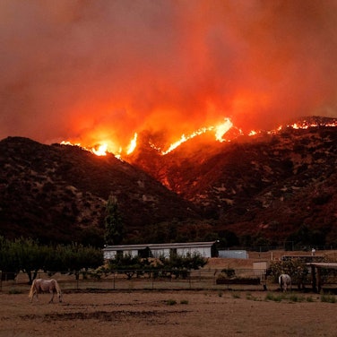 Waldbrand Kalifornien 2