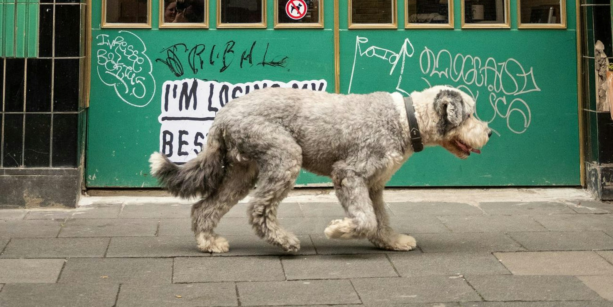hundi