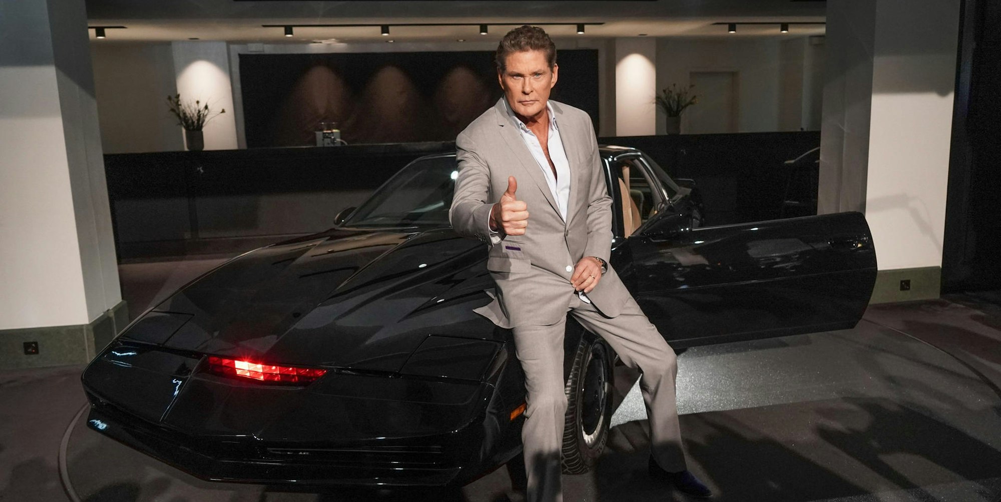 Hasselhoff Kitt
