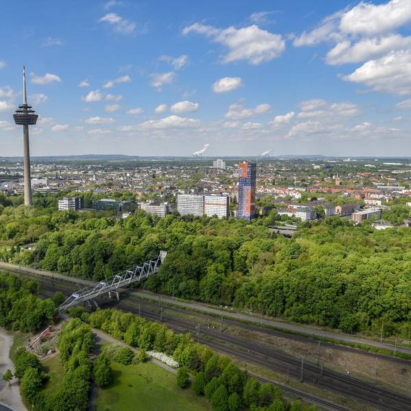 Neuer Inhalt (3)