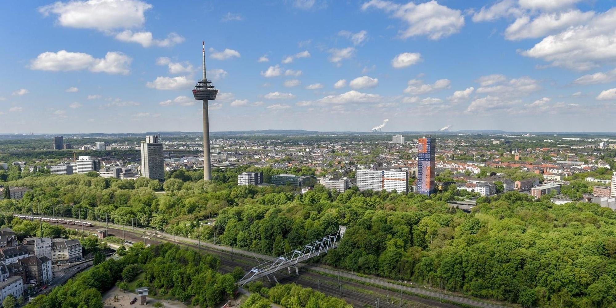 Neuer Inhalt (3)