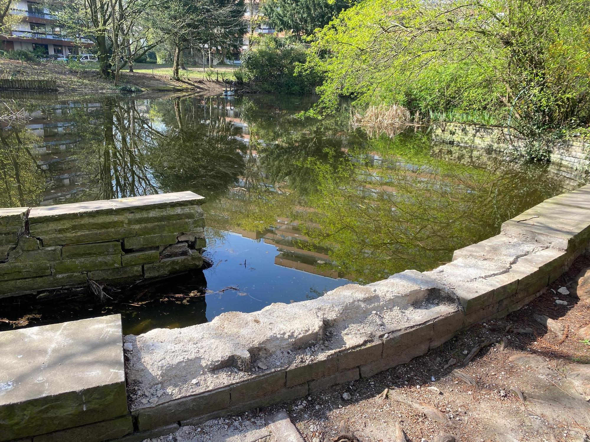 Teich Bayenthaler Wohnpark2
